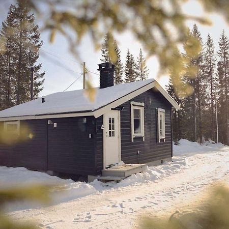 Koselig Hytte I Hemsedal Exterior foto