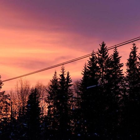 Koselig Hytte I Hemsedal Exterior foto