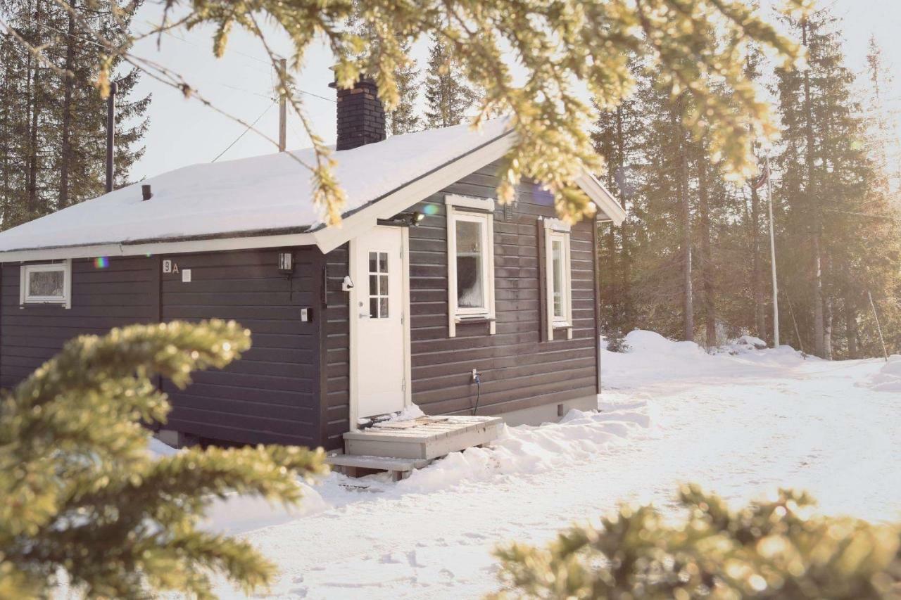 Koselig Hytte I Hemsedal Exterior foto