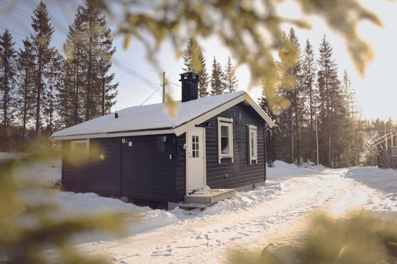 Koselig Hytte I Hemsedal Exterior foto