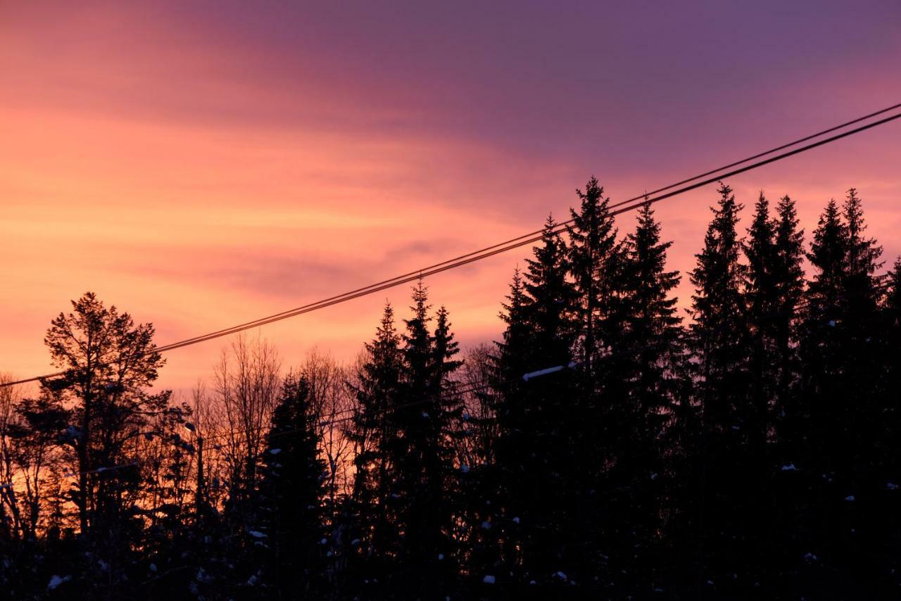 Koselig Hytte I Hemsedal Exterior foto
