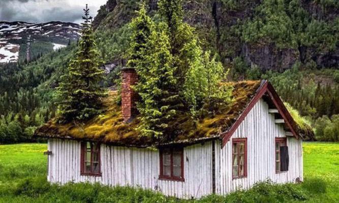 Koselig Hytte I Hemsedal Exterior foto