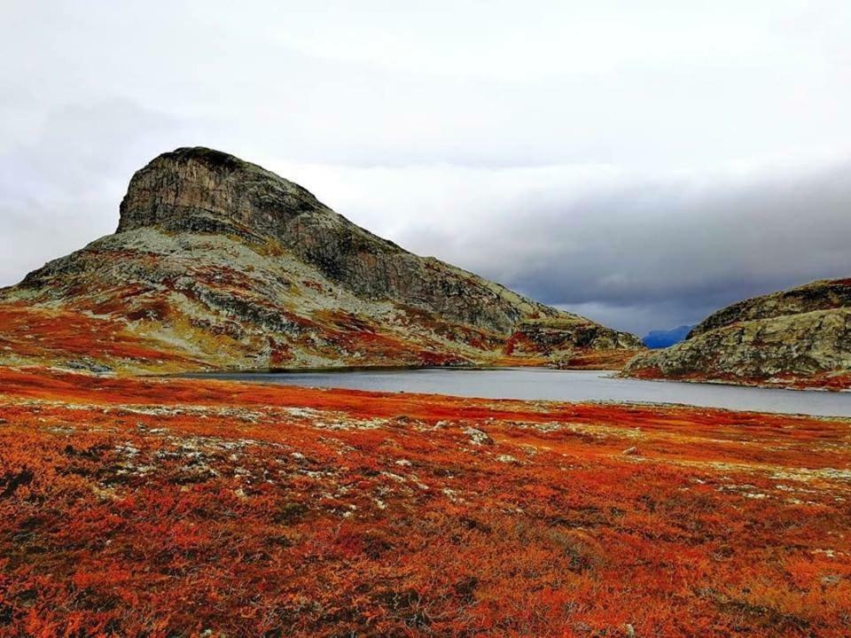Koselig Hytte I Hemsedal Exterior foto