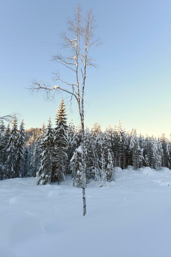 Koselig Hytte I Hemsedal Exterior foto
